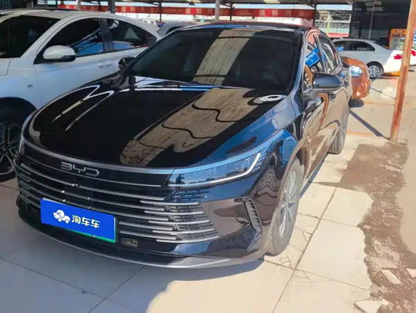 BYD Destroyer 05 2024
