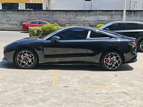 Neta GT 2024