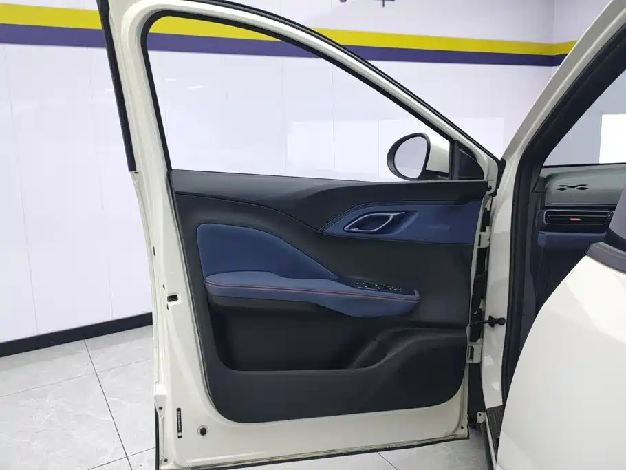 BYD Seagull 2024