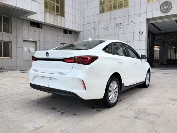 Changan Yidong New Energy 2022