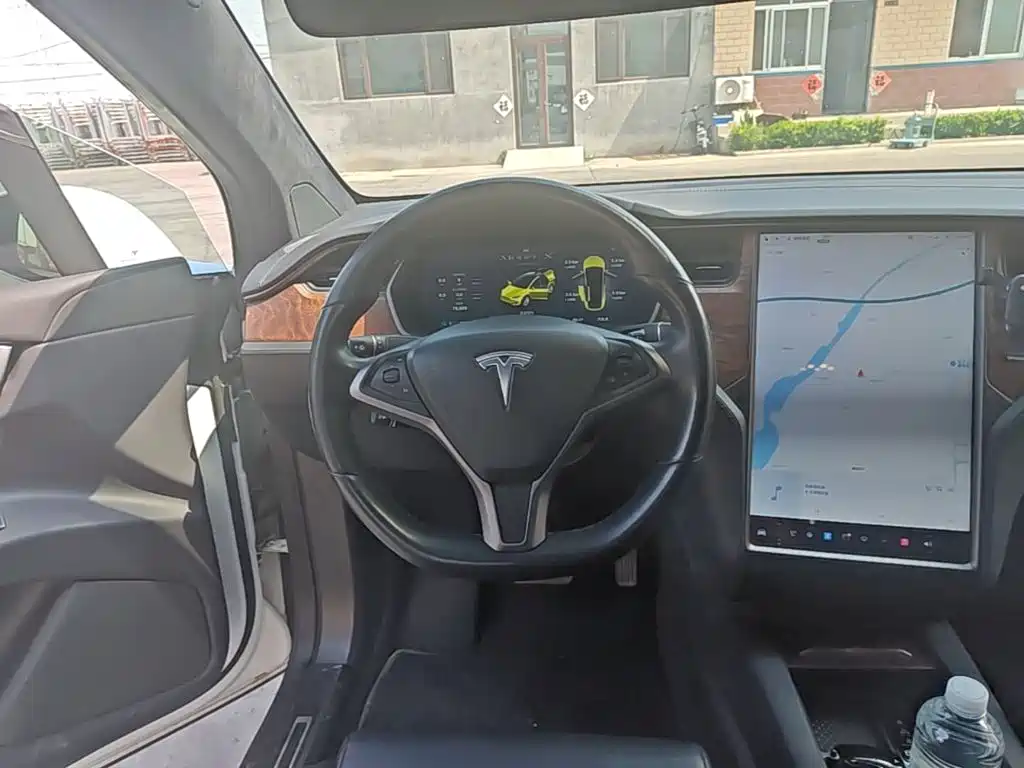 Tesla Model X 2020 — фото 11