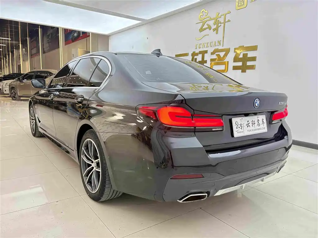 BMW 5 Series New Energy 2022