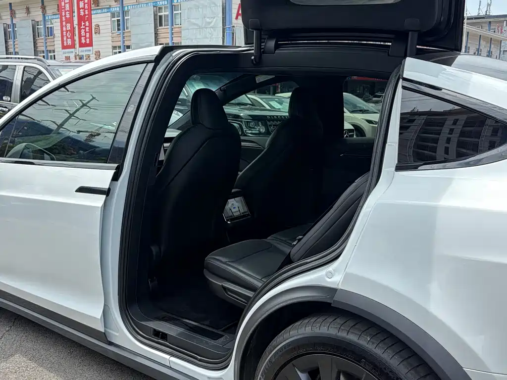 Tesla Model X 2023 — фото 8