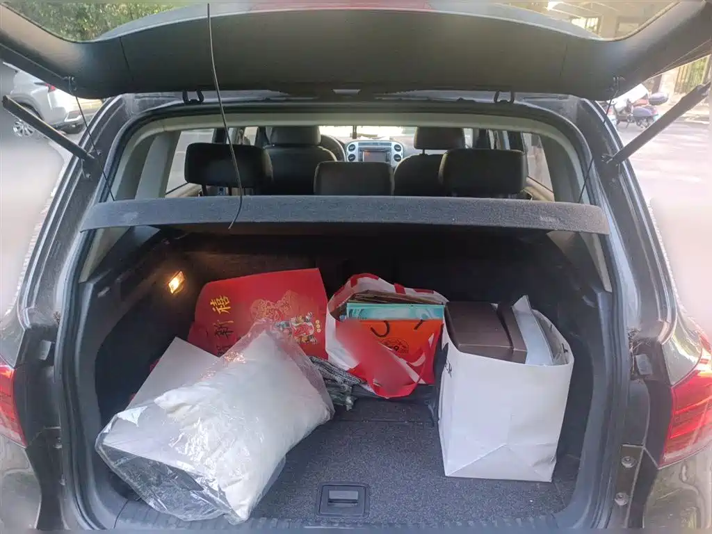 Volkswagen Tiguan 2015 — фото 15