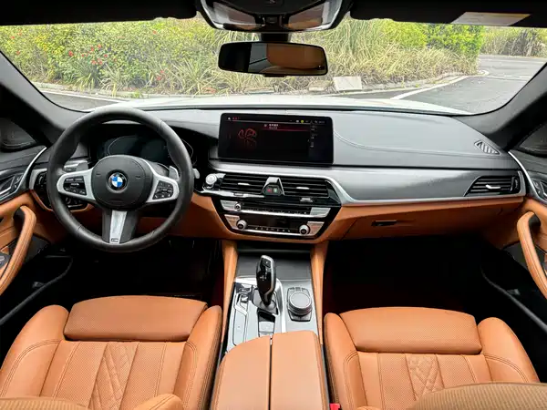 BMW 5 Series 2022