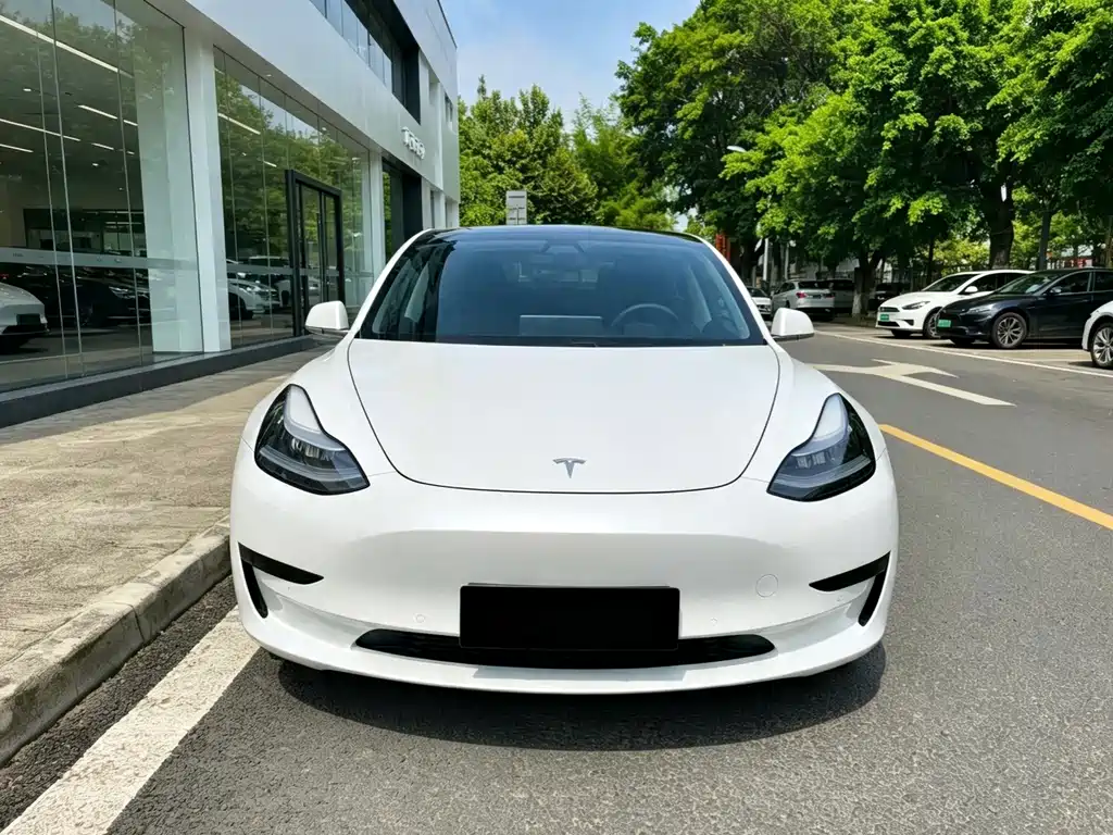 Tesla Model 3 2020 — фото 3