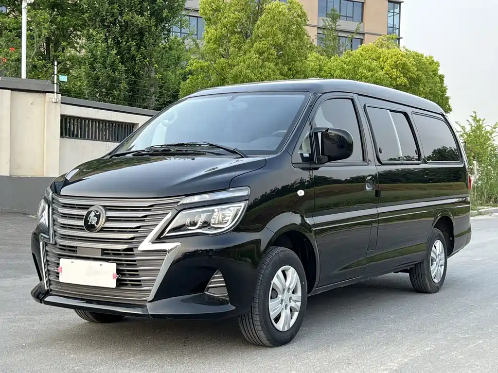 Fengxing Lingzhi 2024