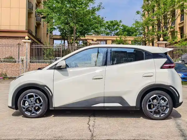 BYD Seagull 2024