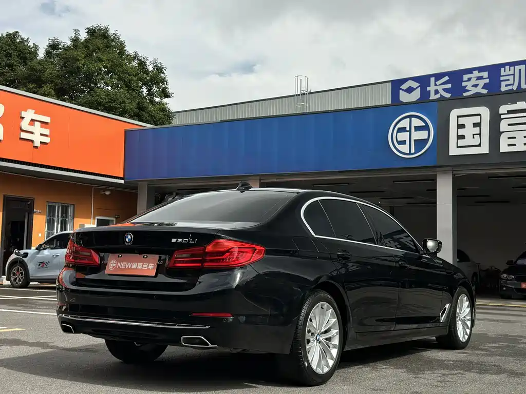 BMW 5 Series 2019 — фото 19