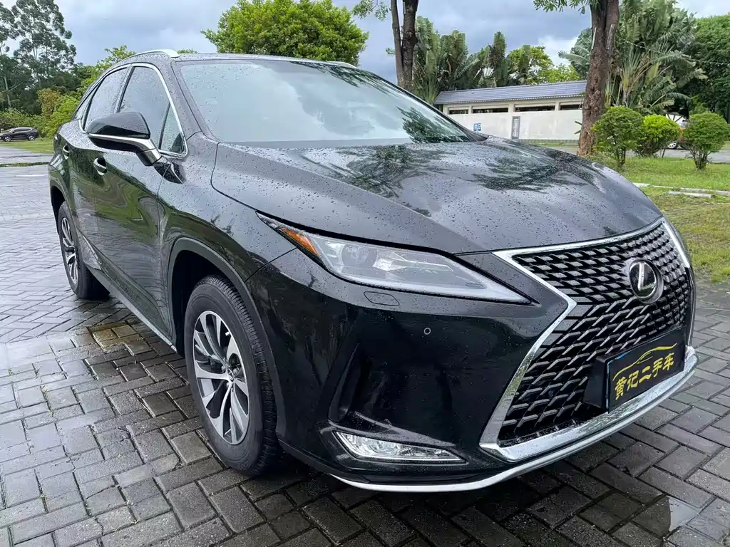 Lexus RX 2020 — фото 10