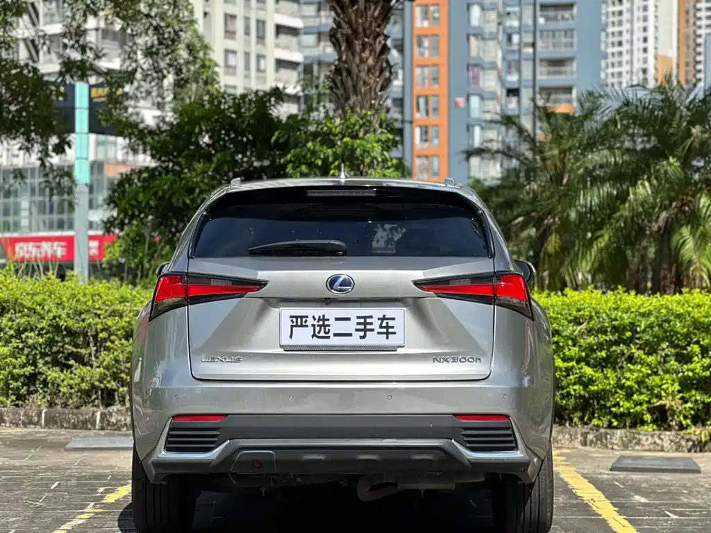 Lexus NX 2018