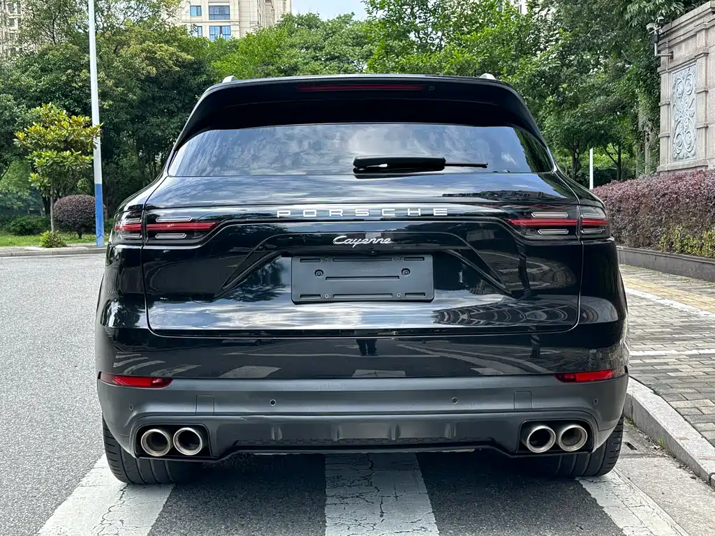 Porsche Cayenne 2020 — фото 15