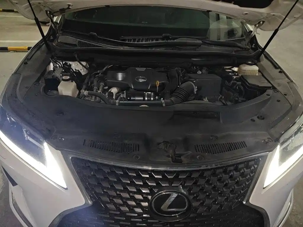 Lexus RX 2020 — фото 16