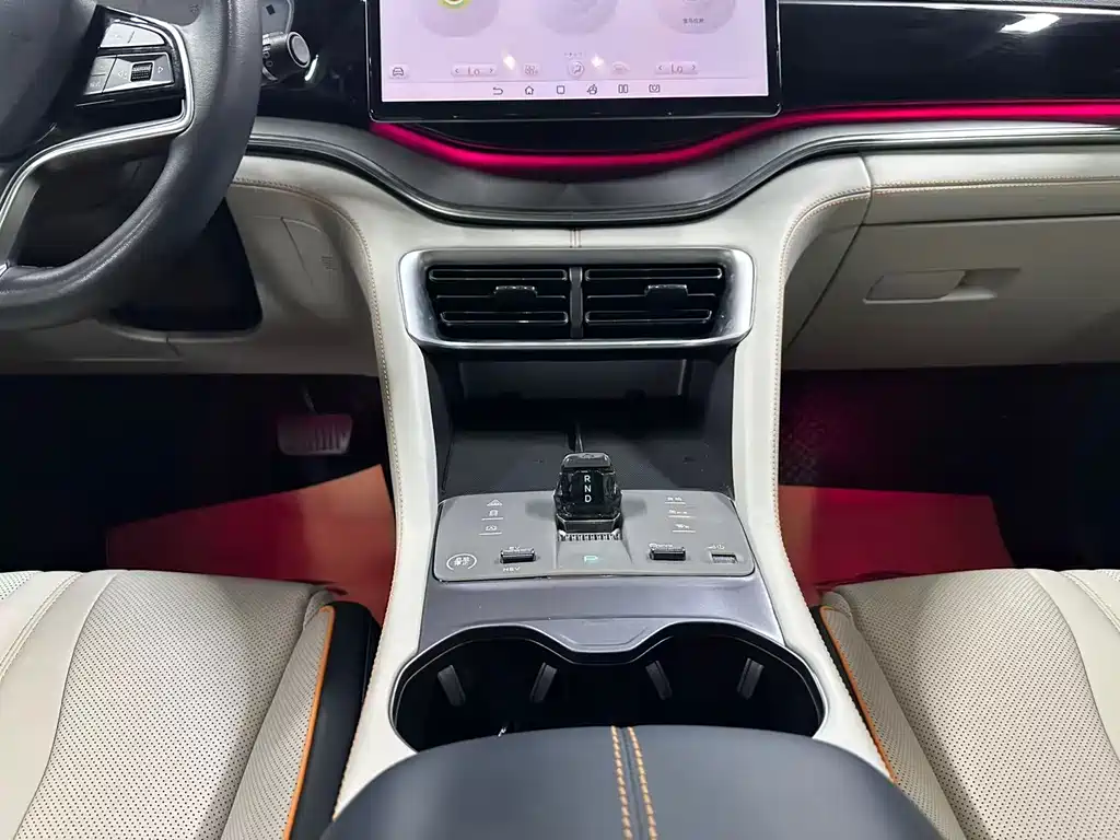 BYD Song PLUS New Energy 2024 — фото 12