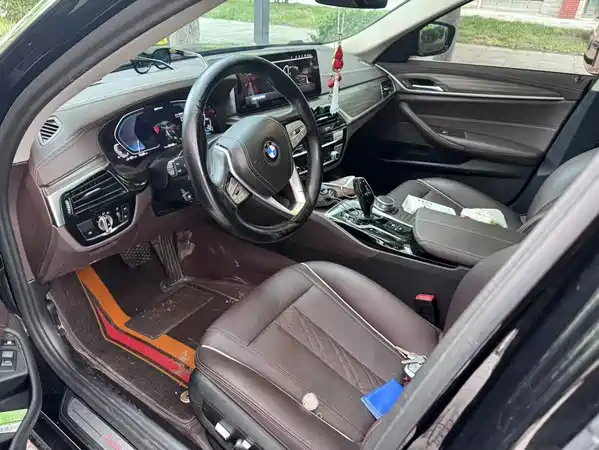 BMW 5 Series New Energy 2020