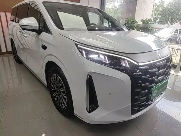BYD Summer 2025