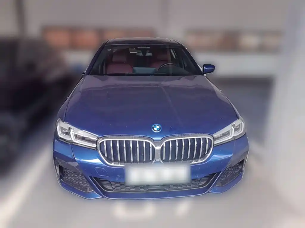 BMW 5 Series New Energy 2022
