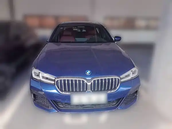 BMW 5 Series New Energy 2022