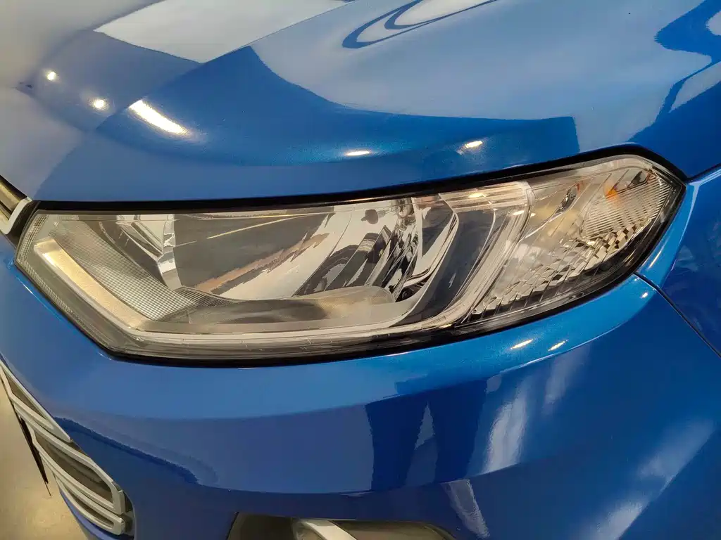Ford Ecosport 2015 — фото 14