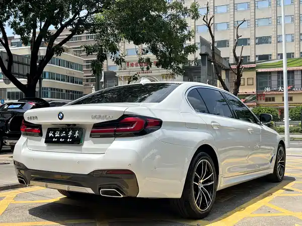 BMW 5 Series New Energy 2021