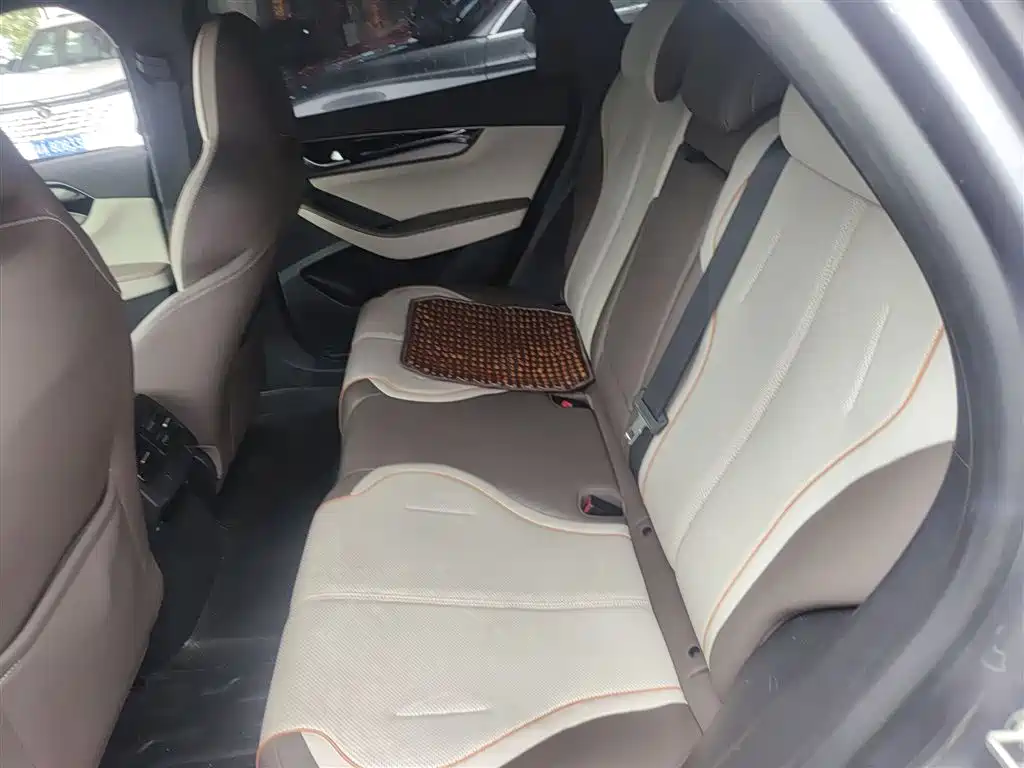 BYD Qin PLUS 2024 — фото 13