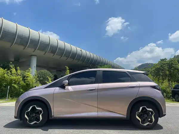 BYD Dolphin 2022