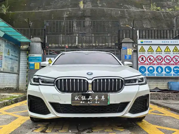 BMW 5 Series New Energy 2022