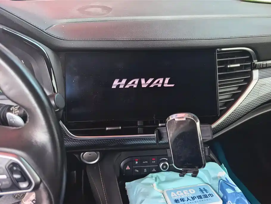 Haval F7x 2020 — фото 13