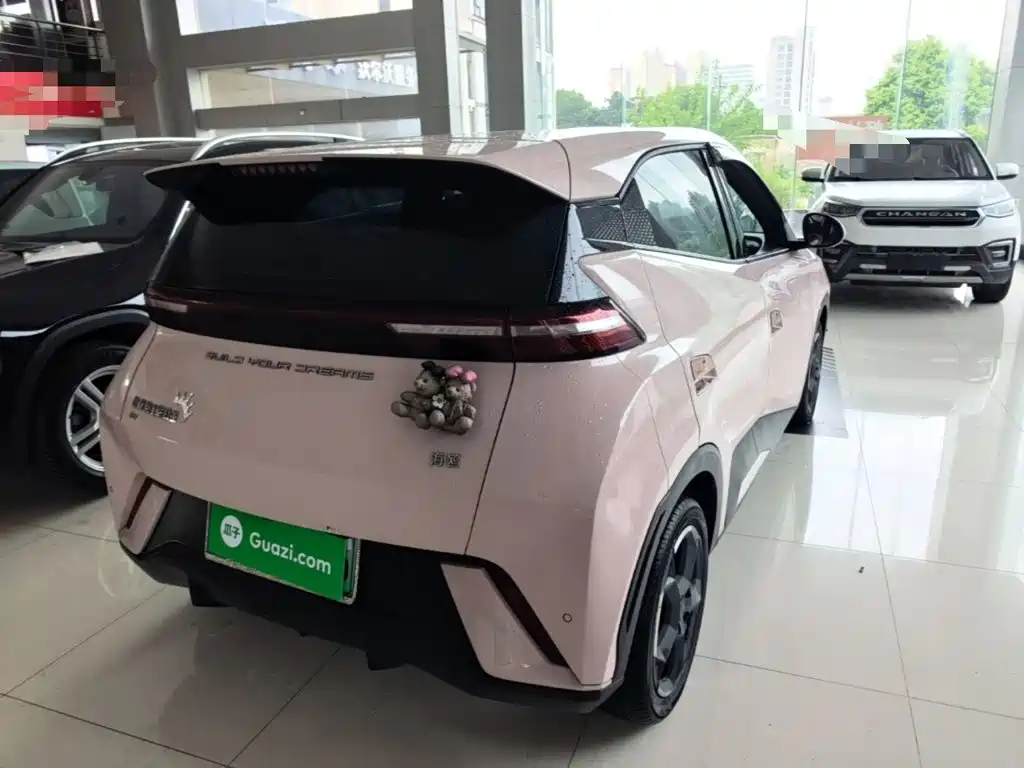 BYD Seagull 2024
