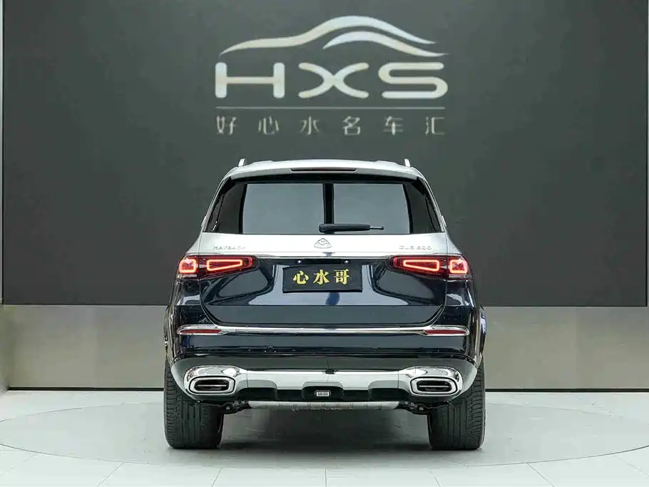 Mercedes-Benz Maybach GLS 2021 — фото 5