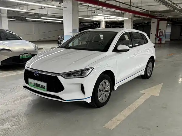 BYD e2 2021