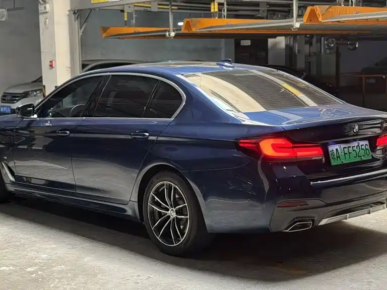 BMW 5 Series New Energy 2021