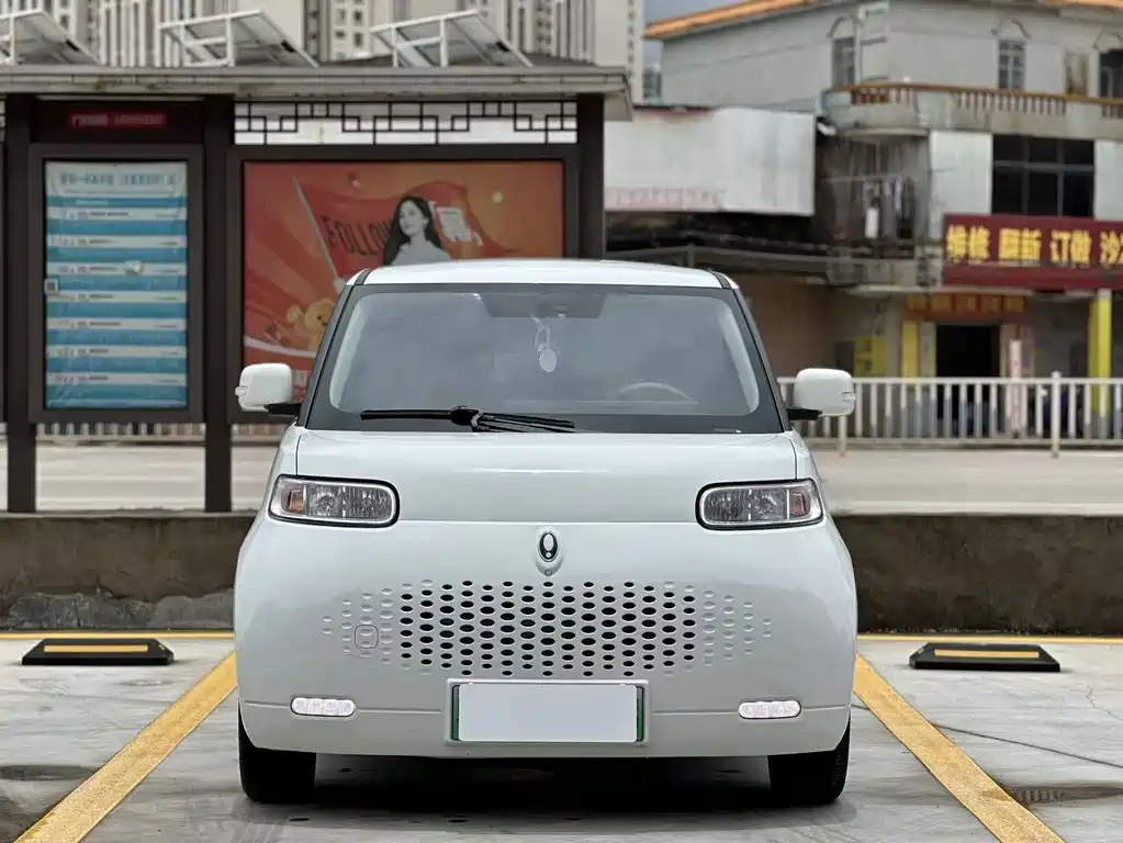 Ora White Cat 2022