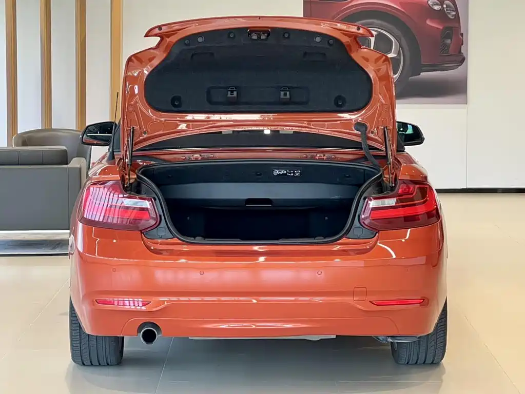 BMW 2 Series 2015 — фото 14