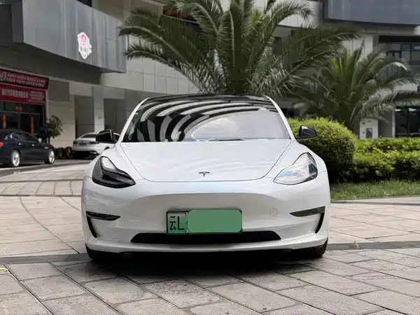Tesla Model 3 2021
