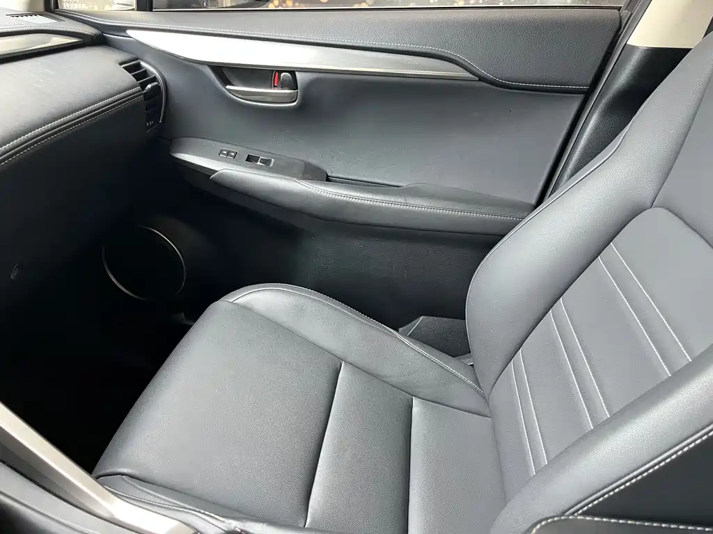 Lexus NX 2020 — фото 14