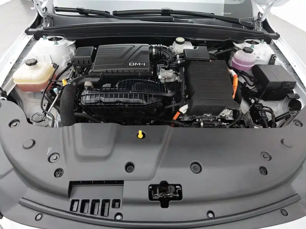 BYD Qin PLUS 2024