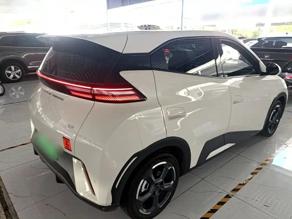 BYD Seagull 2024
