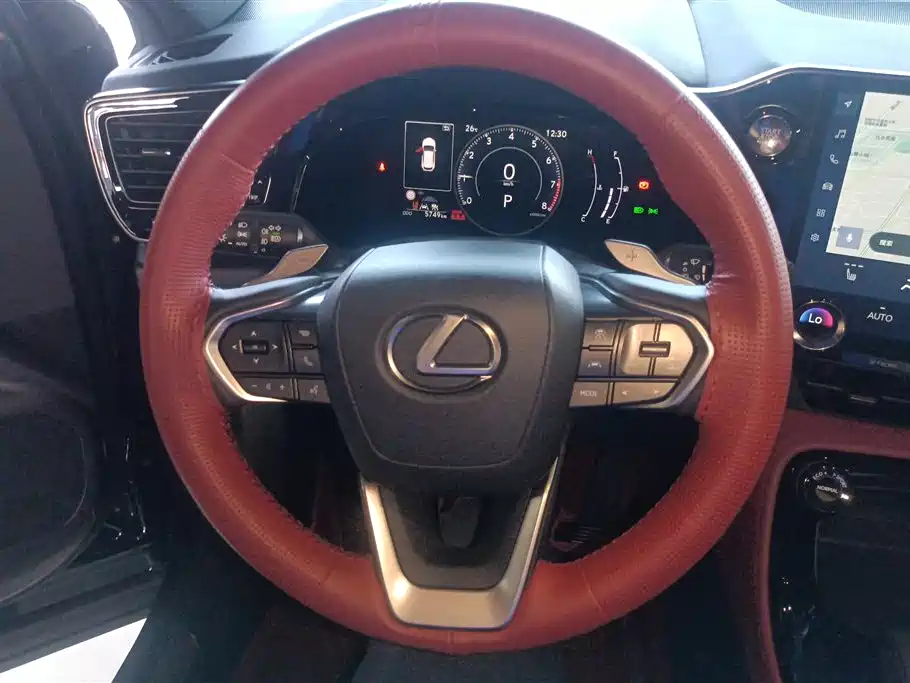 Lexus NX 2024 — фото 15