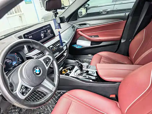 BMW 5 Series New Energy 2020