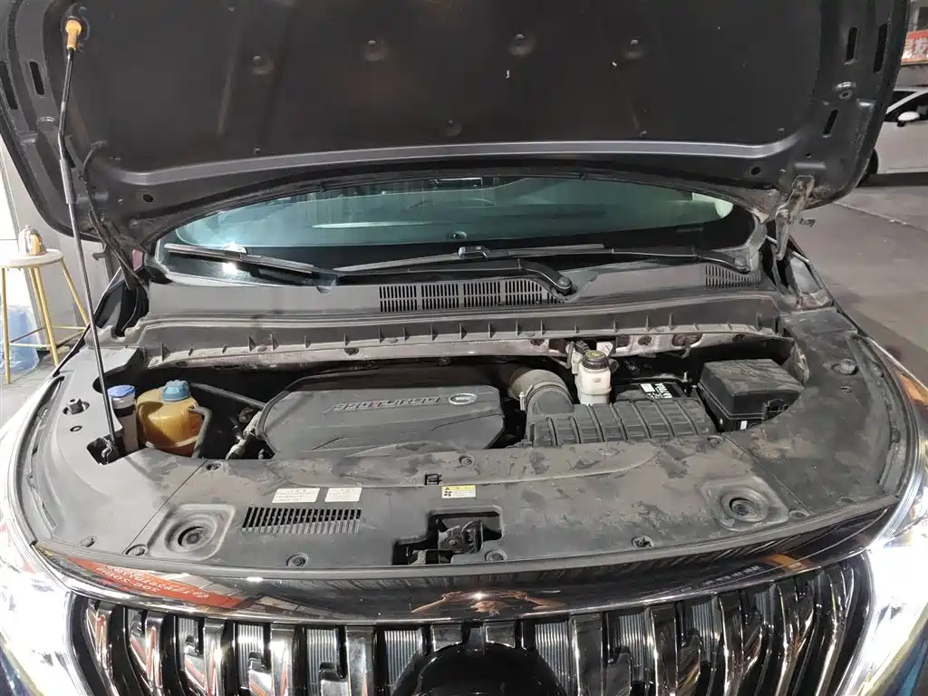 GAC Motor Trumpchi M8 2021 — фото 10