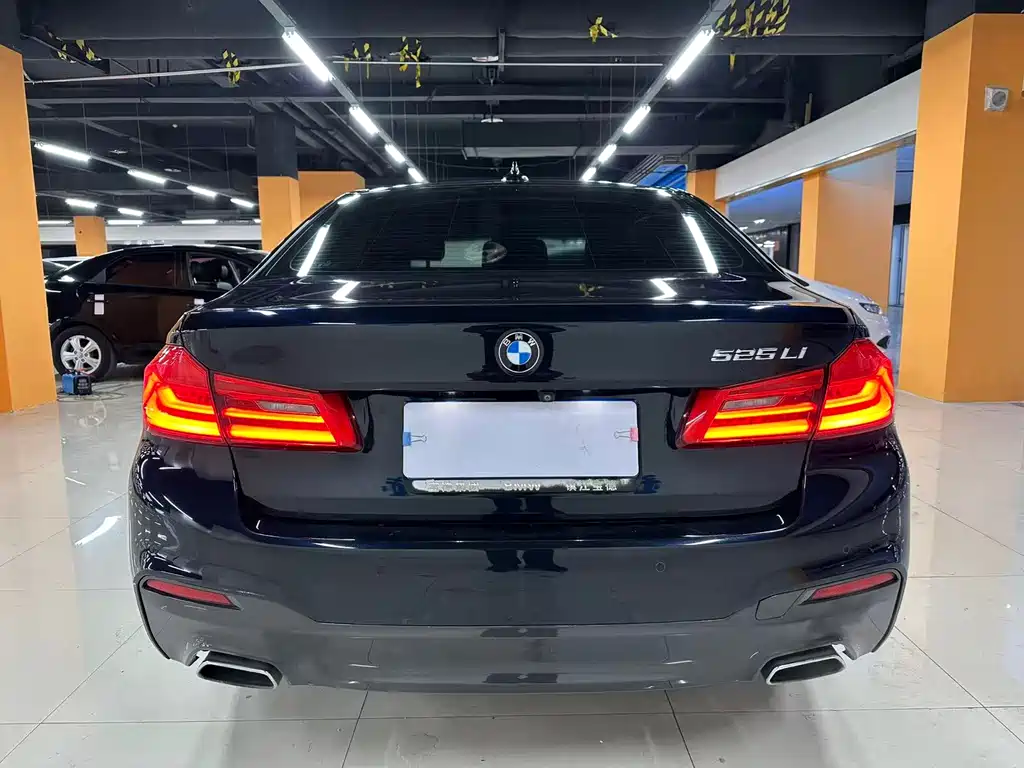BMW 5 Series 2019 — фото 7