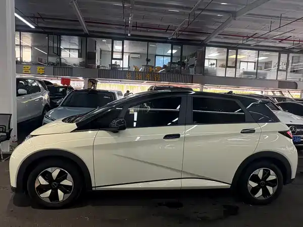BYD Dolphin 2024