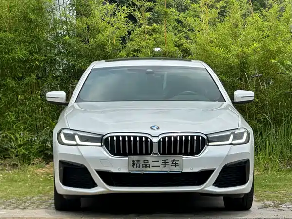 BMW 5 Series 2022