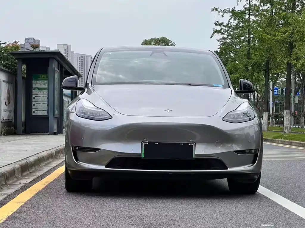 Tesla Model Y 2021 — фото 2