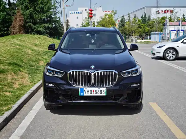 BMW X5 New Energy 2021