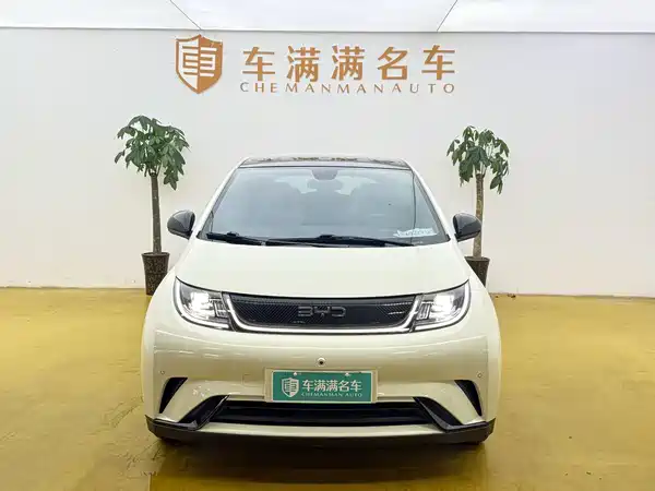 BYD Dolphin 2024