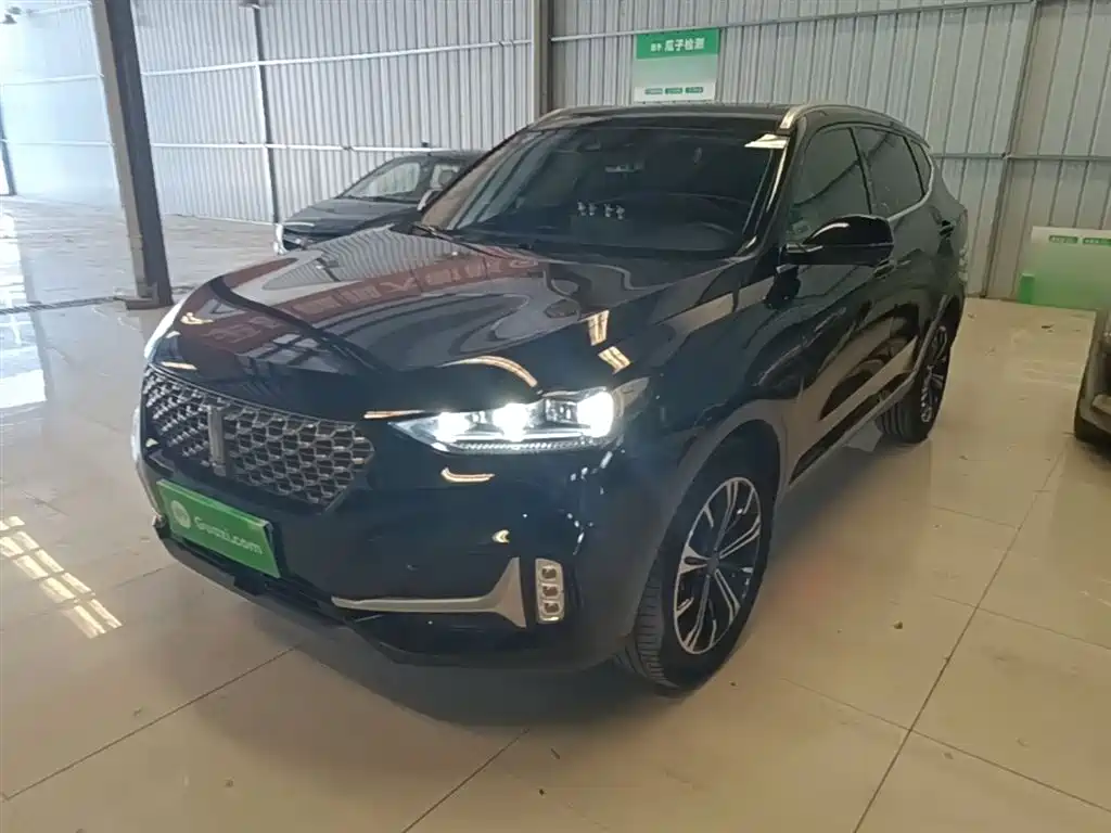 Wey VV6 2021