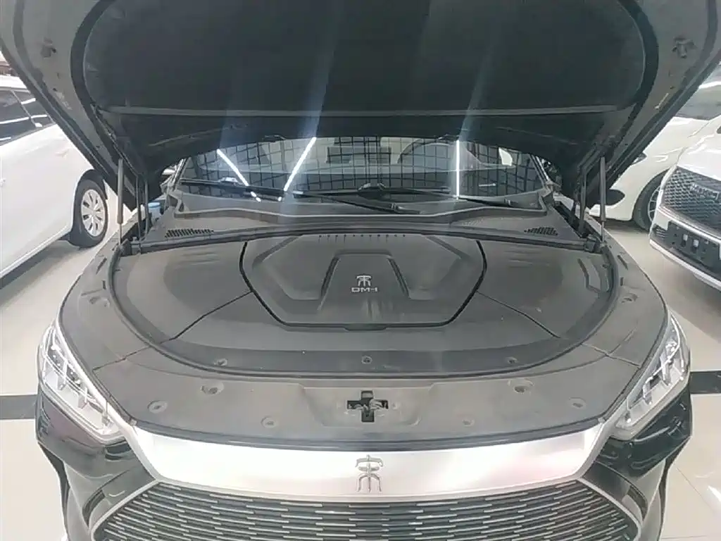 BYD PLUS New Energy 2023 — фото 20