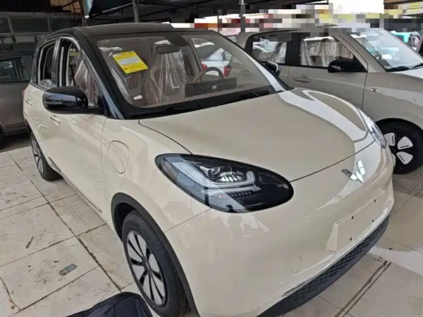 Wuling Bingo 2024
